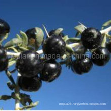 Medlar Nature Ningxia Black Wolf Berry